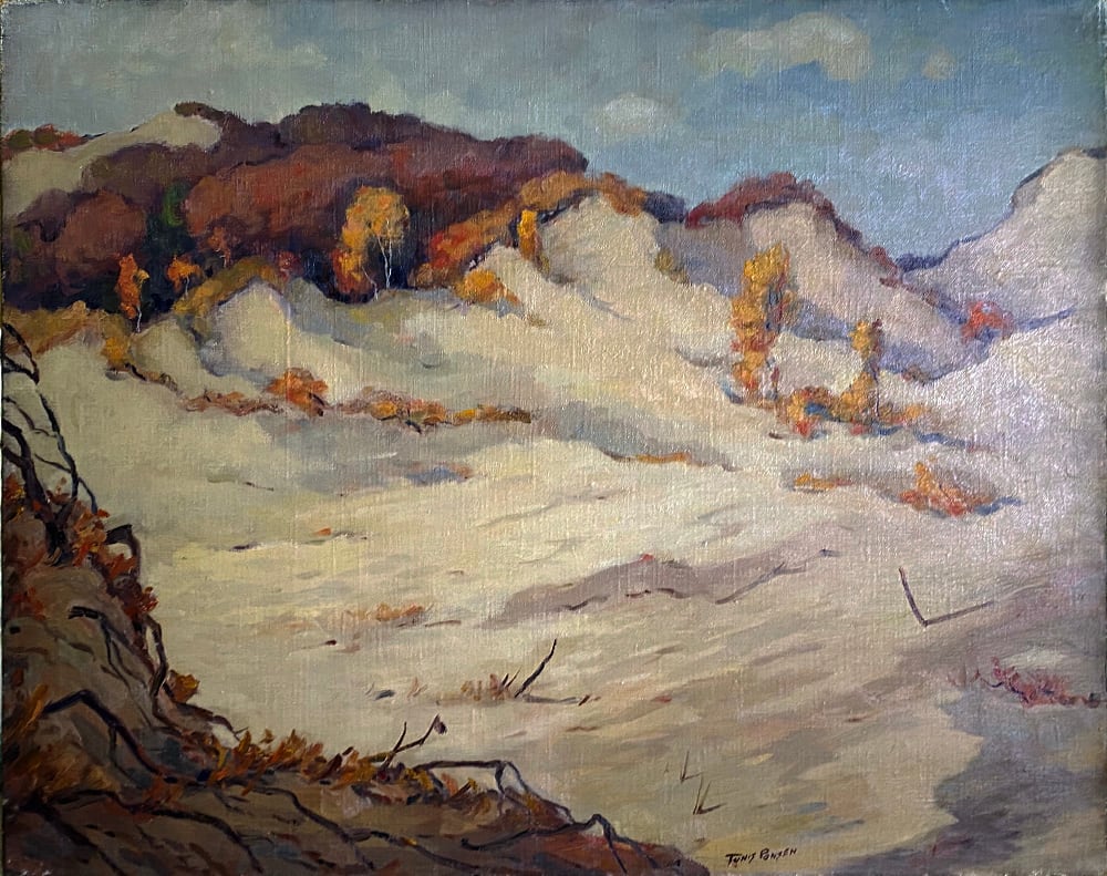 Fall Dunescape by Tunis Ponsen, Image 1.