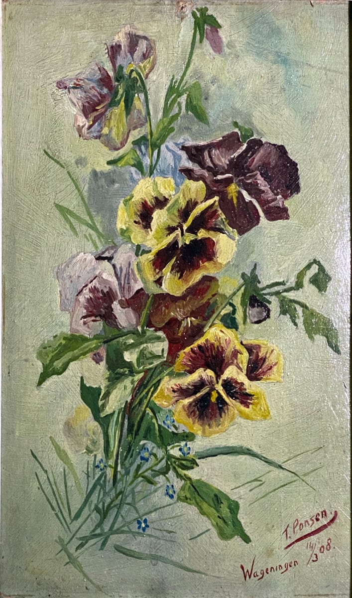 Arrangement of Pansies by Tunis Ponsen 