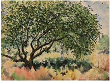 Large Apple Tree by Tunis Ponsen 