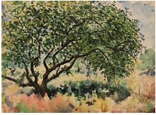Large Apple Tree by Tunis Ponsen, Image 3.