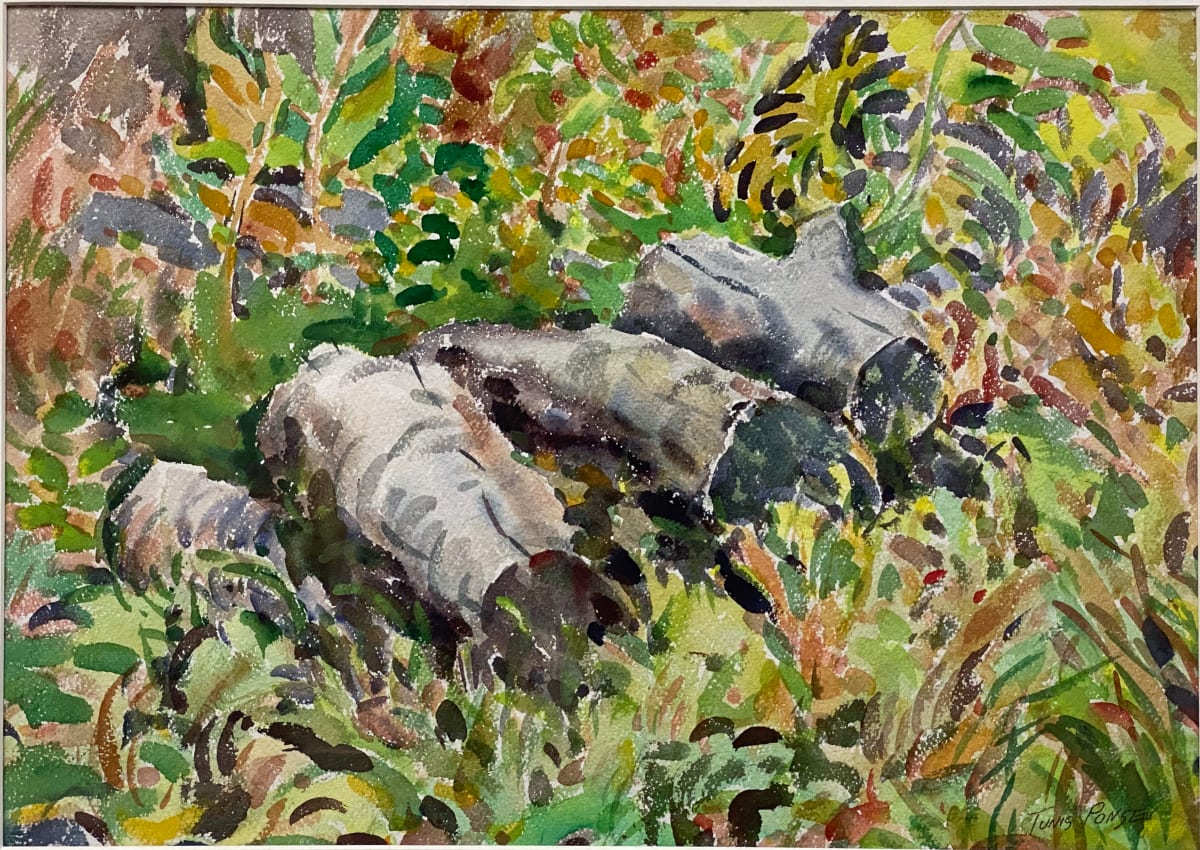 Forgotten Logs by Tunis Ponsen, Image 1.