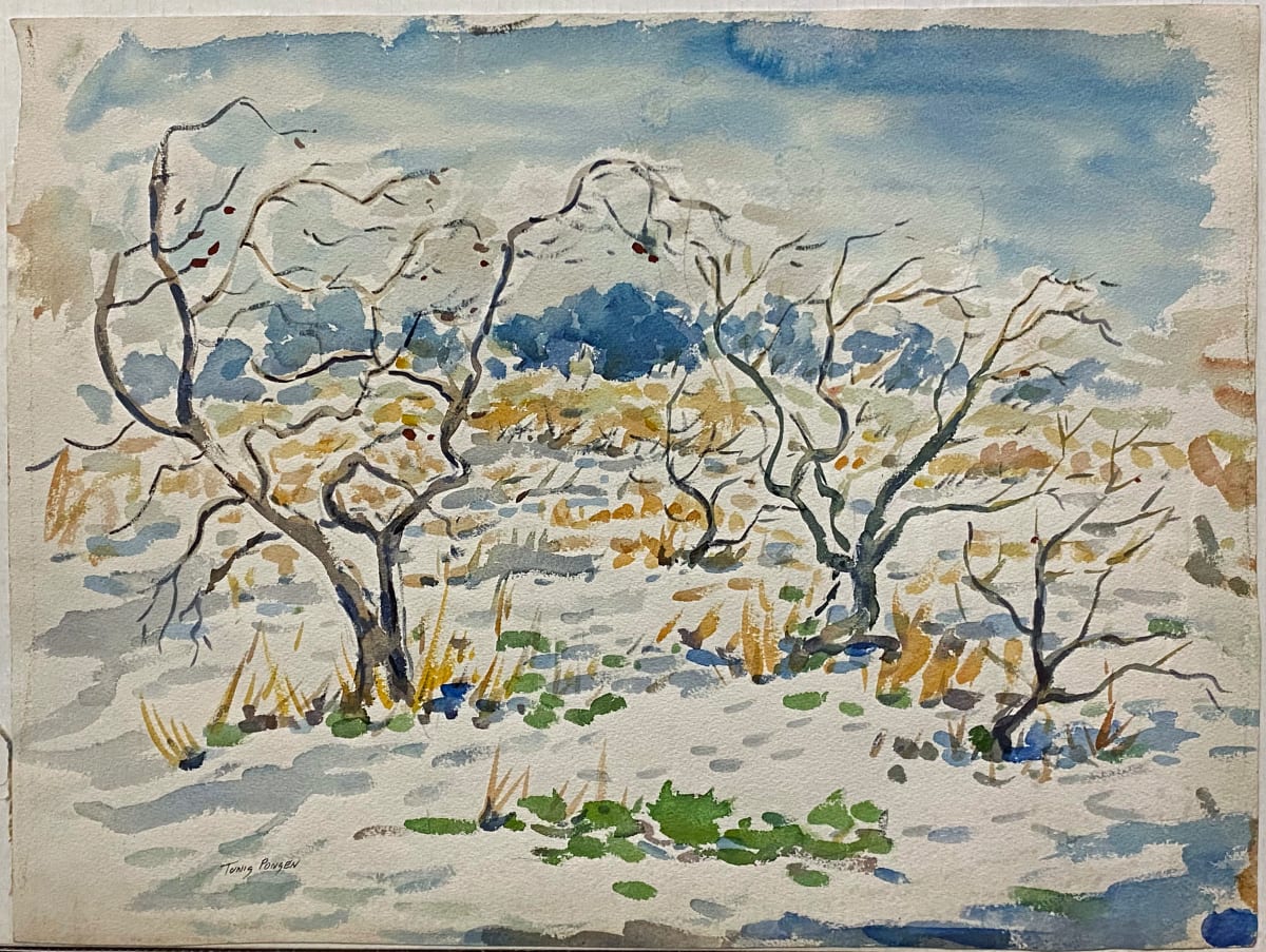 Apple Trees in Winter with Lingering Fruit by Tunis Ponsen 