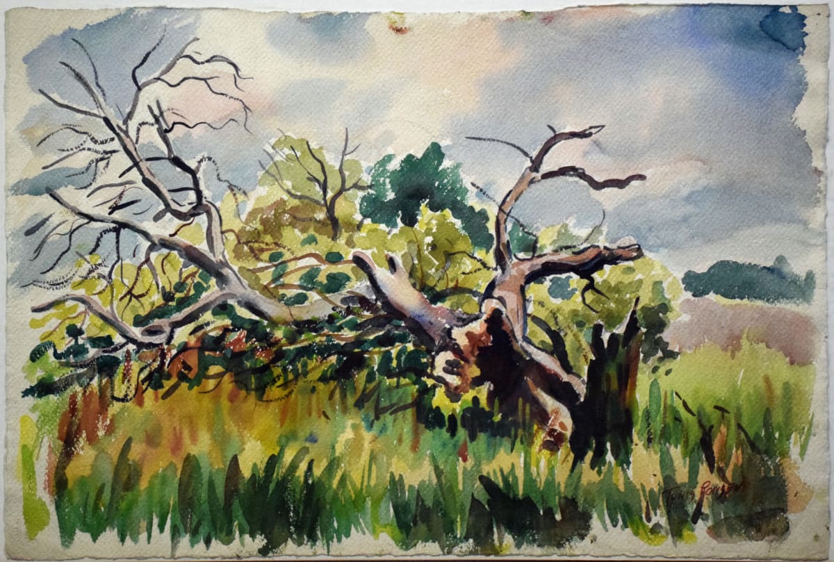 Old Tree, Fallen by Tunis Ponsen, Image 1.