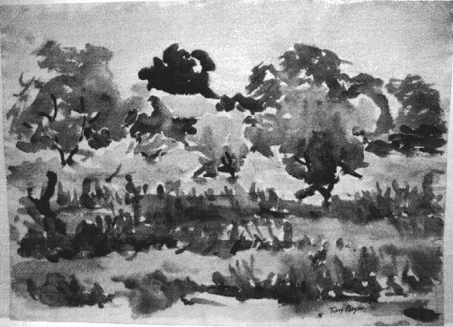 Pond with Trees by Tunis Ponsen, Image 1.