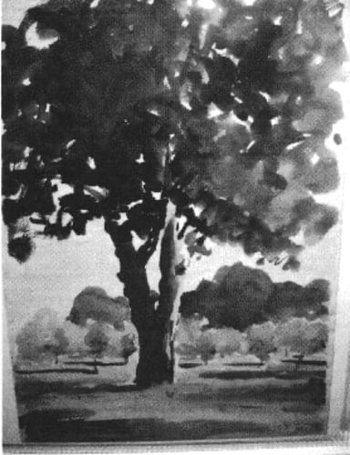 Shade Tree by Tunis Ponsen 