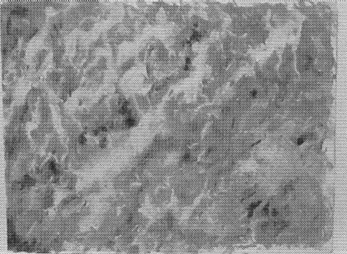 Abstract by Tunis Ponsen, Image 1.