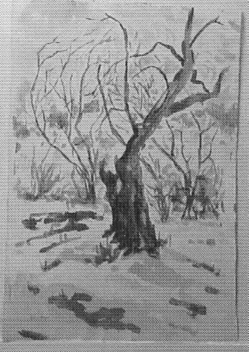 Old Tree in Winter by Tunis Ponsen, Image 1.