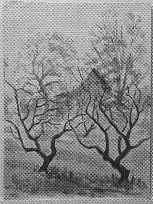 Winter Fruit Trees by Tunis Ponsen, Image 1.