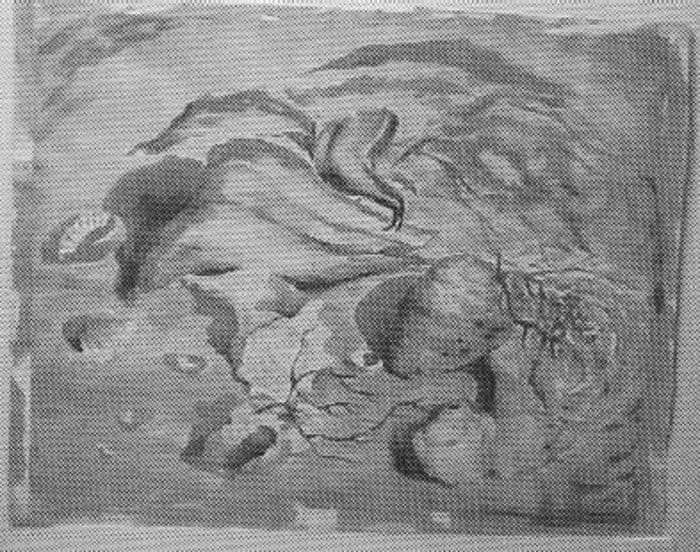 Study for Shells on Beach by Tunis Ponsen, Image 1.