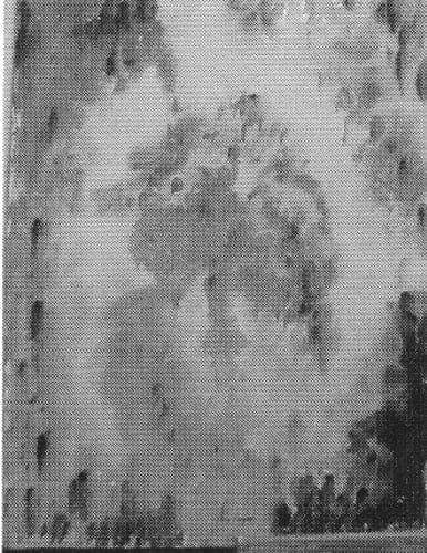 Abstract by Tunis Ponsen, Image 1.