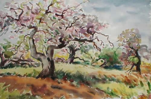 Apple Orchard by Tunis Ponsen 