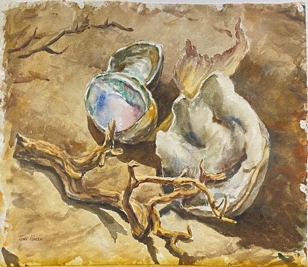 Driftwood and Two Shell Halves by Tunis Ponsen, Image 1.