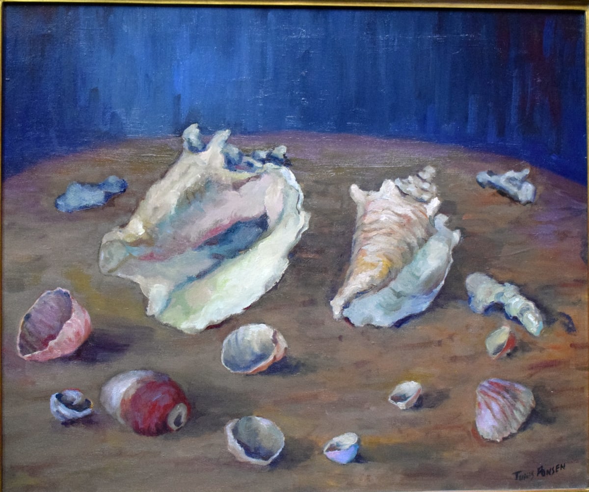 Arrangement of Sea Shells on a Table by Tunis Ponsen 