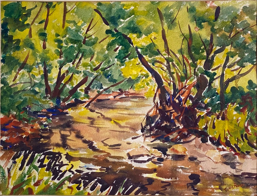 Creek through Heavy Vegetation by Tunis Ponsen, Image 1.
