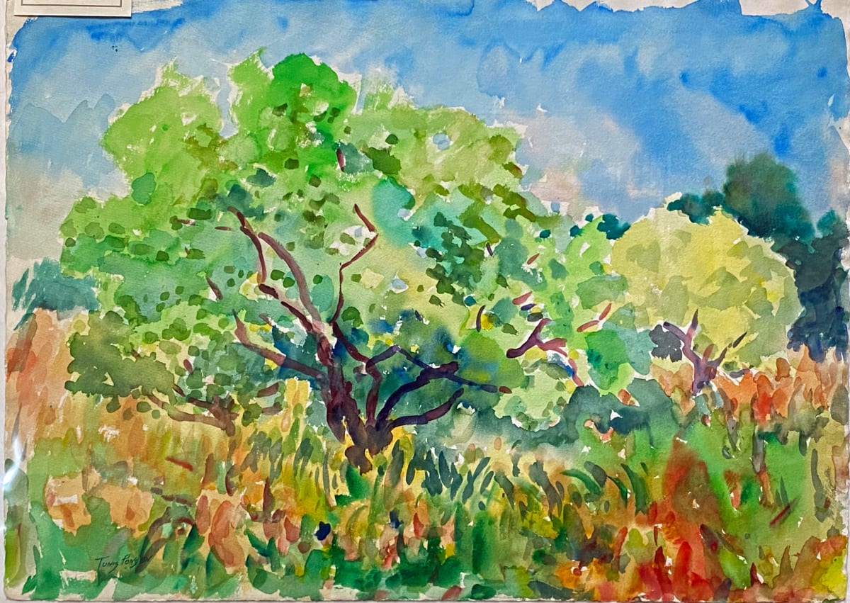 Blue Sky over Orchard tree by Tunis Ponsen 