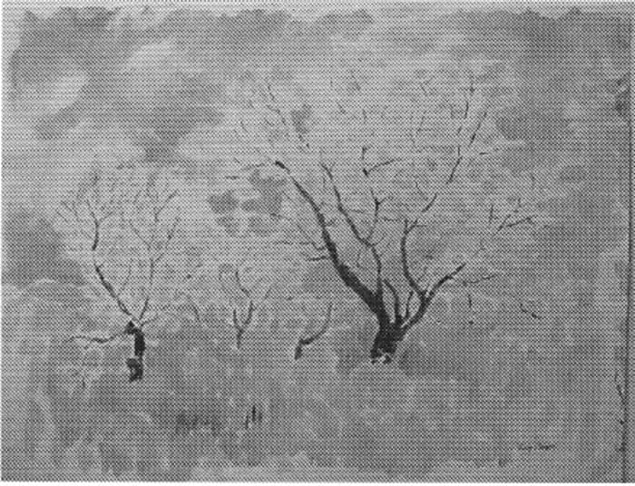 Trees in Blossom by Tunis Ponsen 