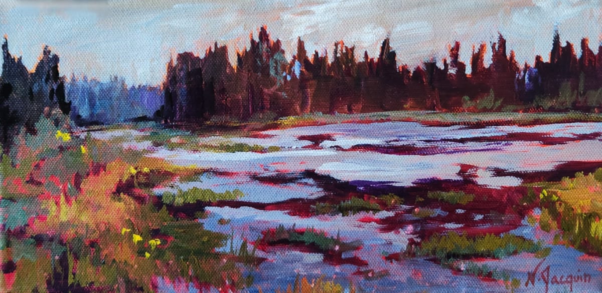 Bog at Mud Creek, Waskesiu by Nikki Jacquin 