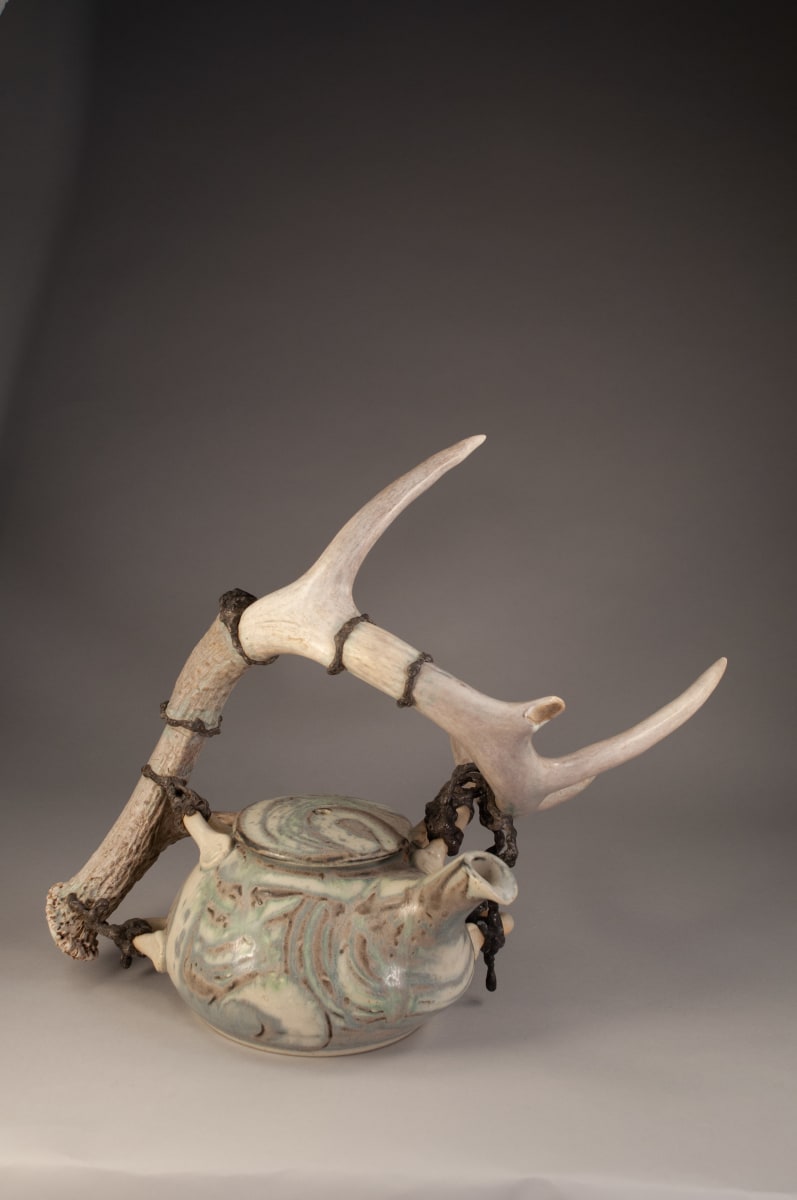 Antler Teapot #10 by Jeffrey Taylor 