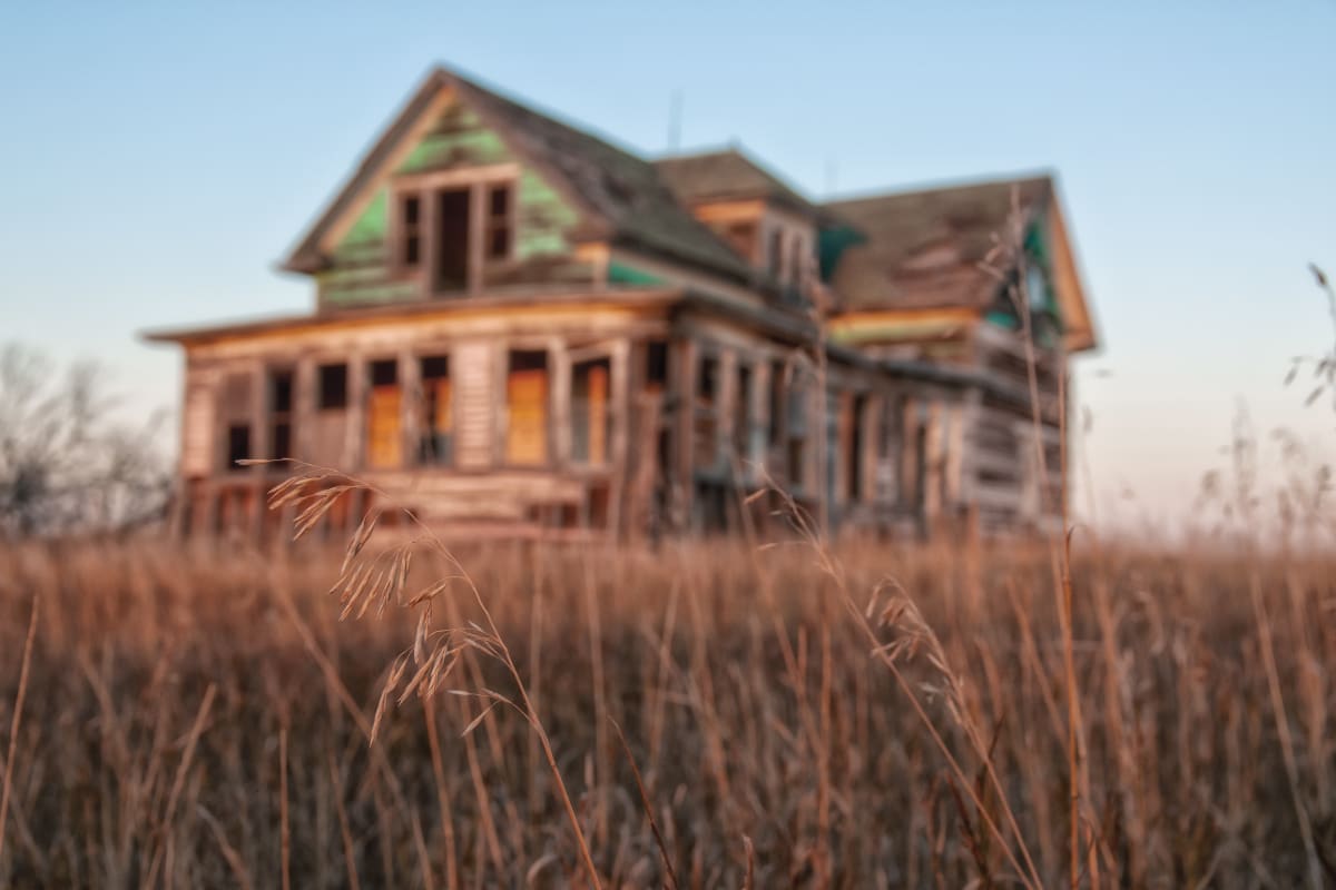Prairie Roots by Brenda Cardiff 