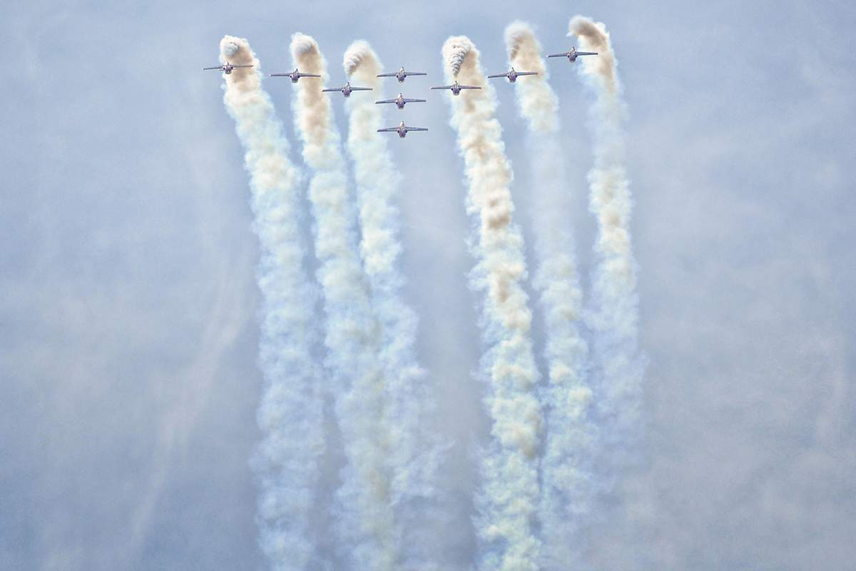 The Snowbirds by Brenda Cardiff, Image 1.