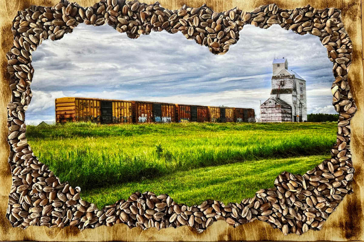 Field to Freight by Brenda Cardiff, Image 1.