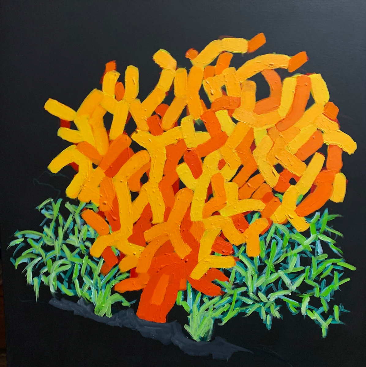 Deep Sea: Orange Coral by Doug Scott 