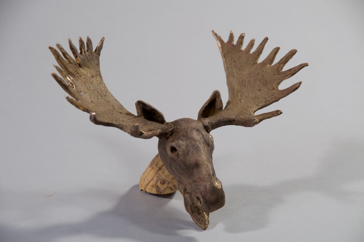 Moose Head by Dave Gejdos 