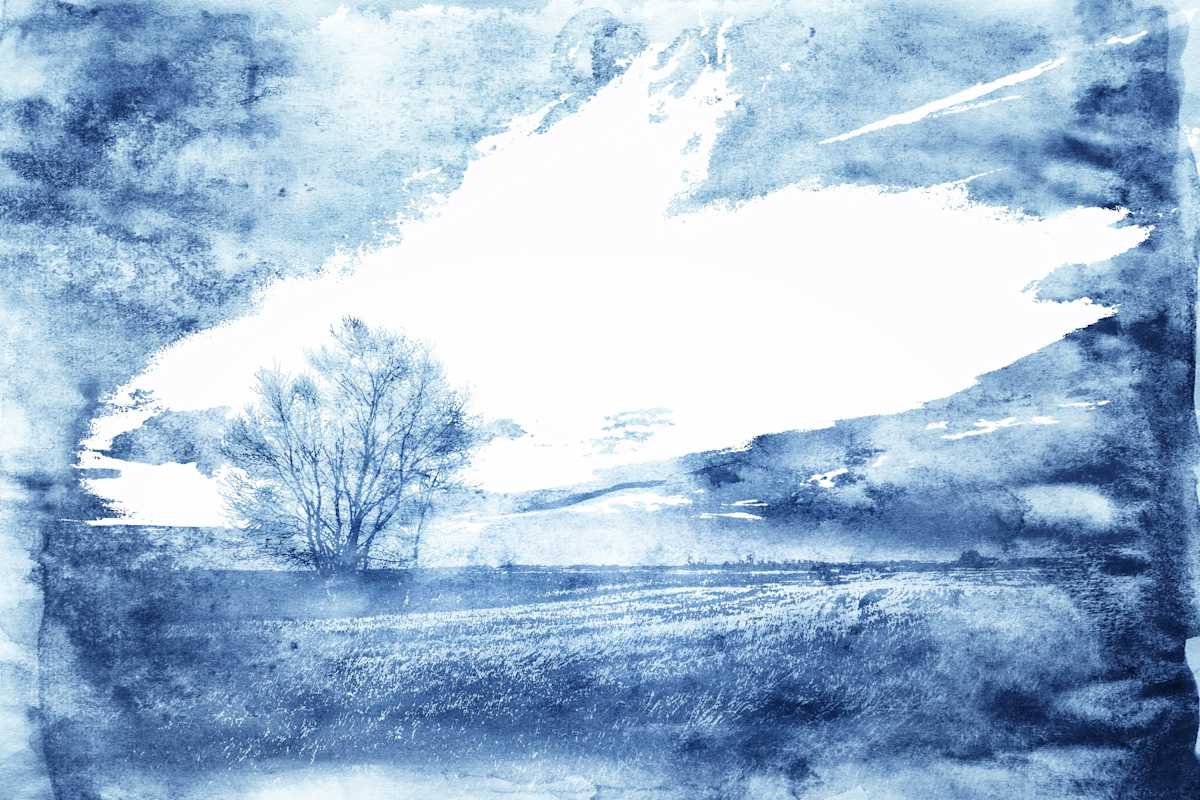 Home Without The House by Brenda Cardiff, Image 1.