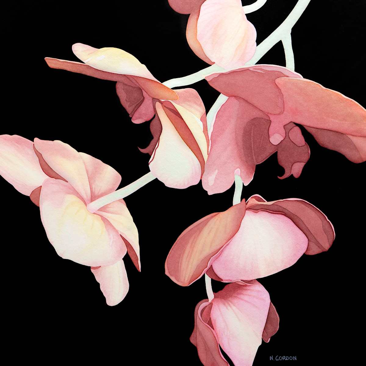 Cascading Orchids by Nanc Gordon 