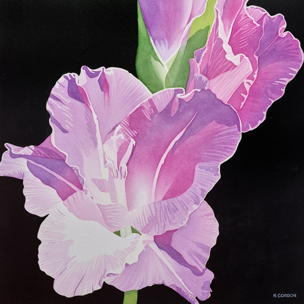 Summer Glory by Nanc Gordon 