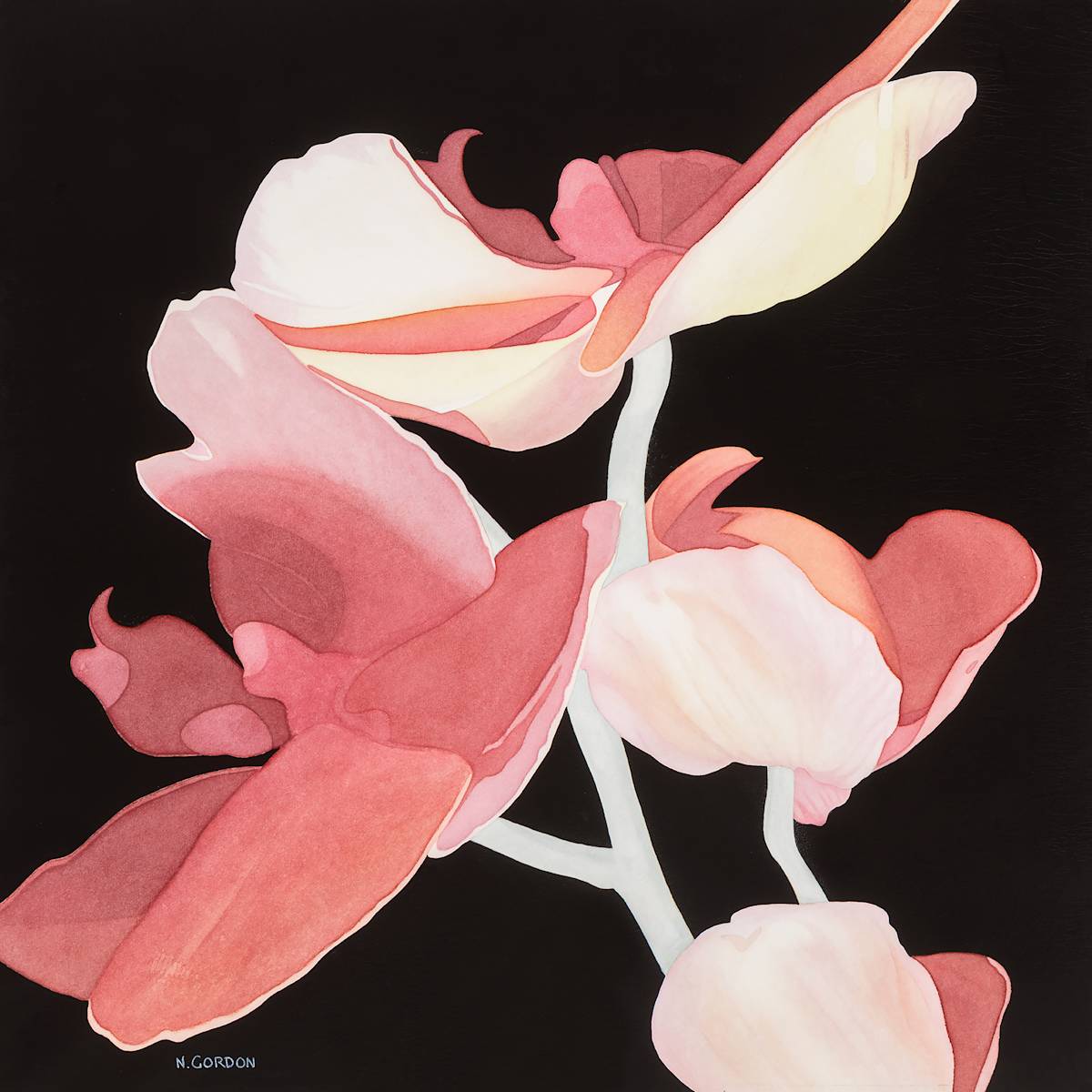 Ascending Orchids by Nanc Gordon 