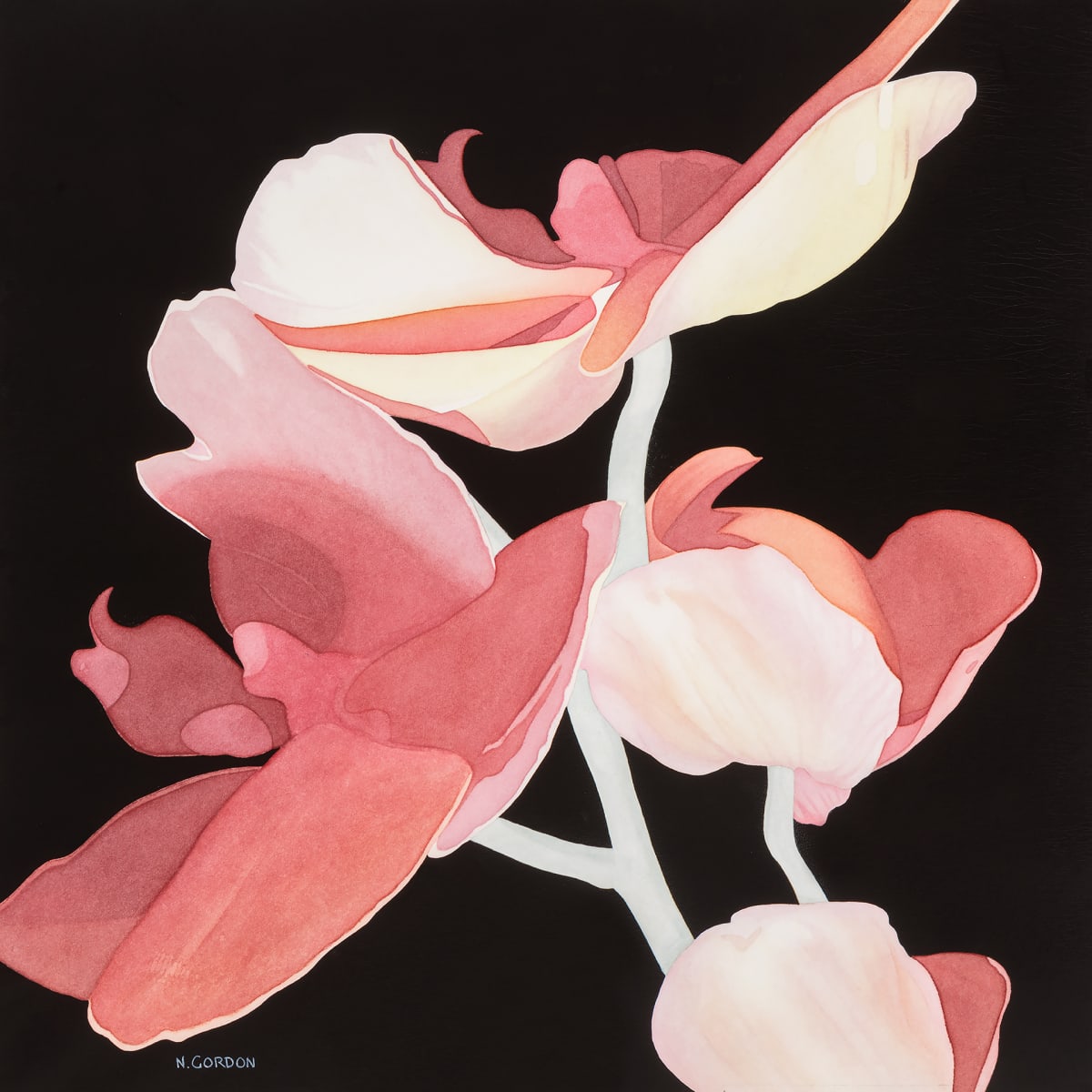 Ascending Orchids by Nanc Gordon, Image 1.