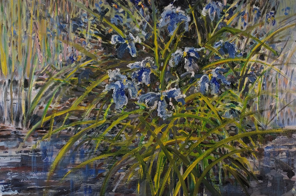 Wild Irises by Tim Eaton 