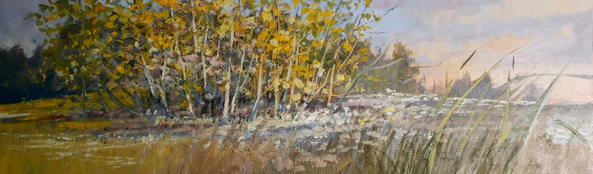 Birch Stand by Tim Eaton 