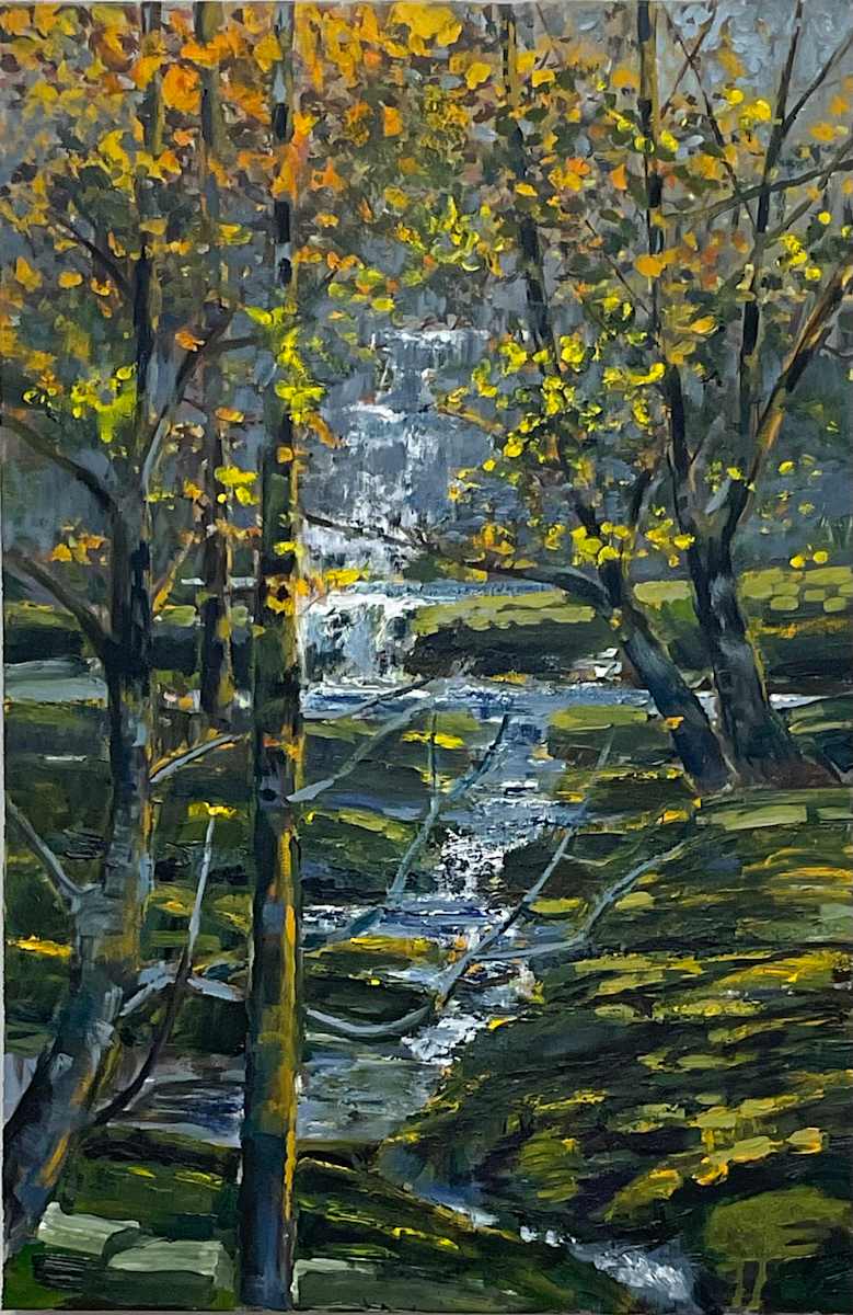 Hidden Falls by Tim Eaton 