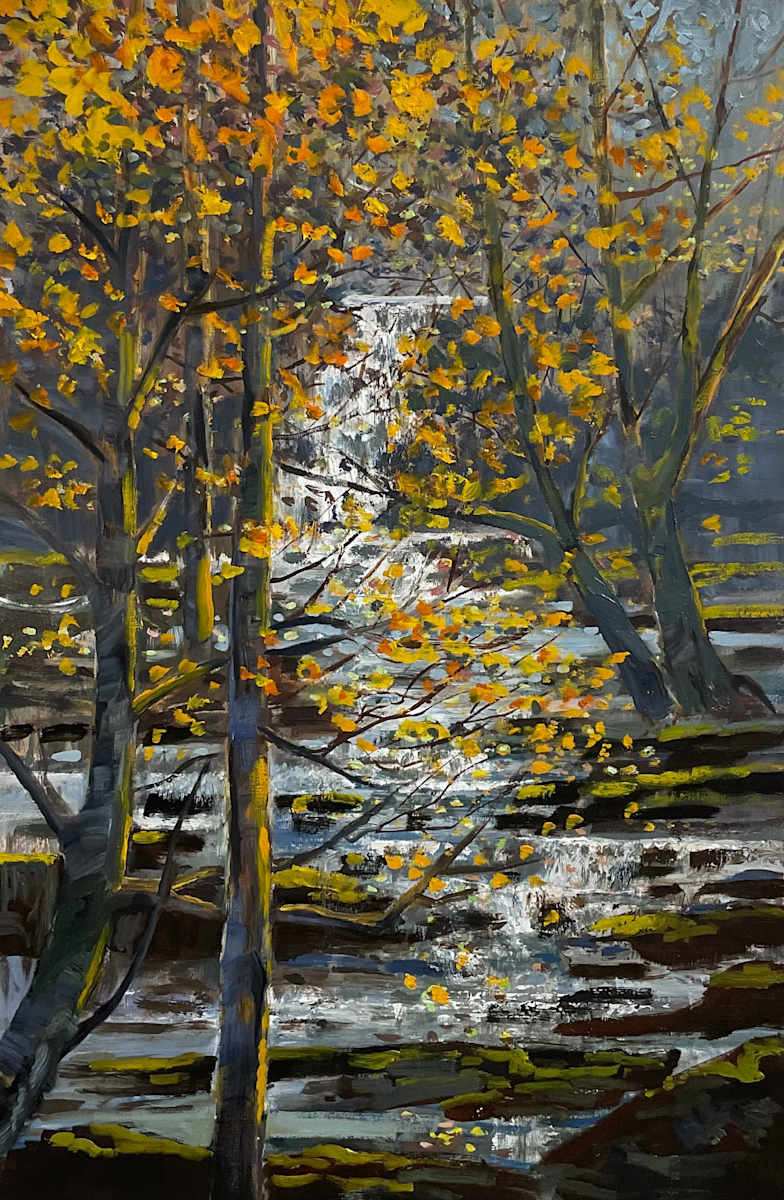 Hidden Falls by Tim Eaton 