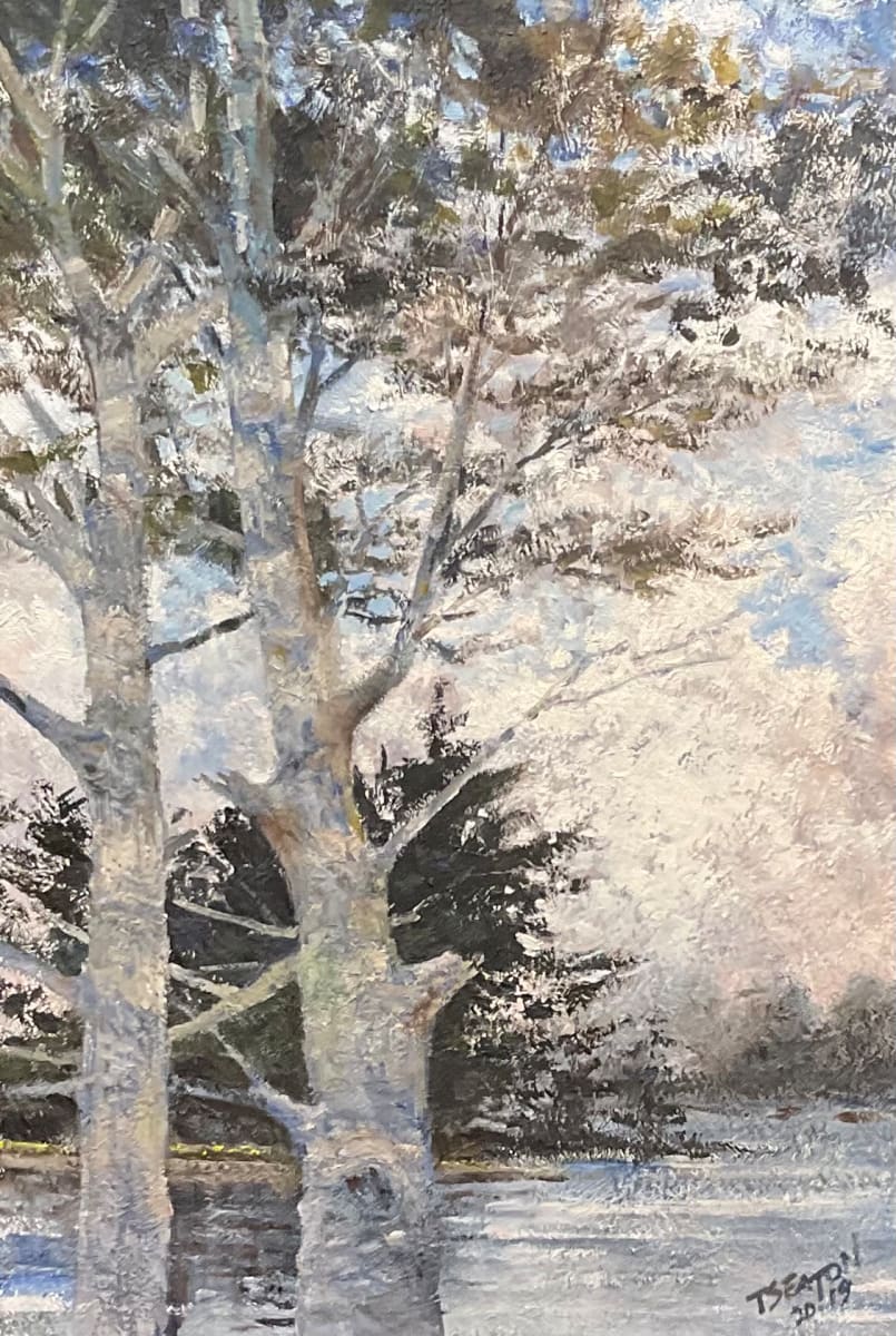 Sister Pines by Tim Eaton, Image 2.