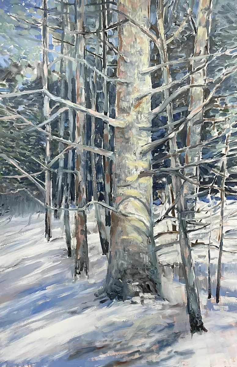 Winter Light by Tim Eaton 