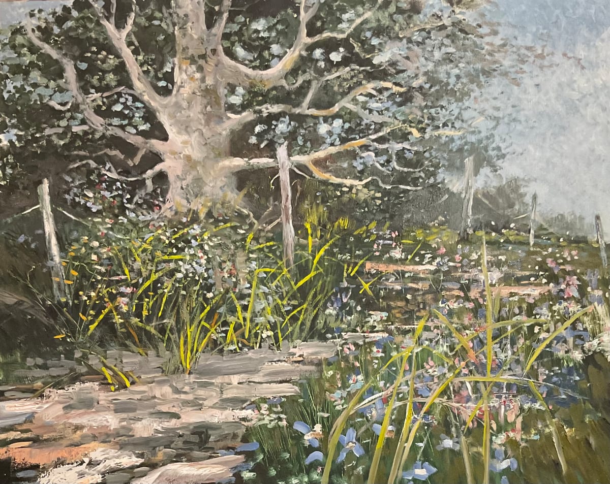The Meeting Tree by Tim Eaton 