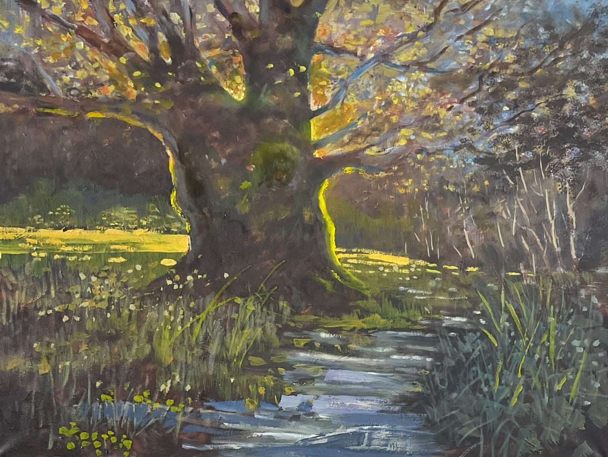 Sunlit Meadow by Tim Eaton 