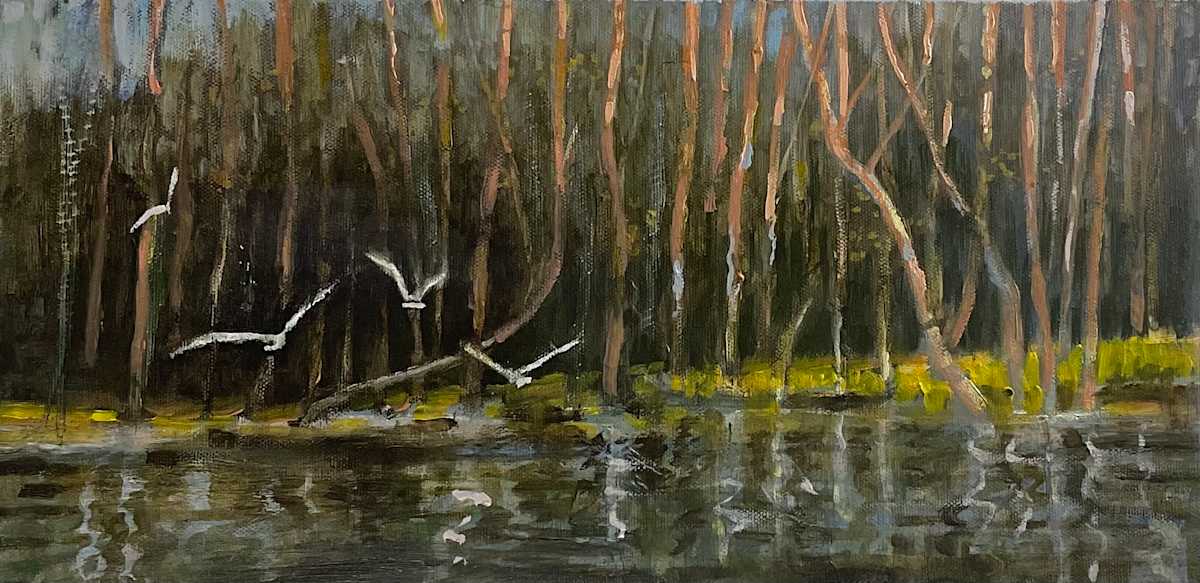 Wings by Tim Eaton 
