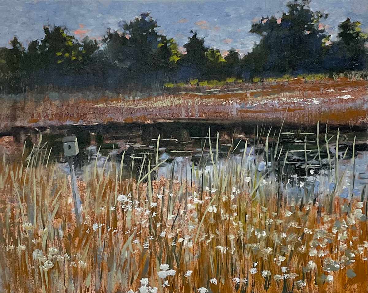 Sanctuary by Tim Eaton 
