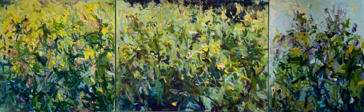 Field Series, triptych by priscilla whitlock  Image: 30x30, 30x40, 24x30  Oil stick, oil, graphite