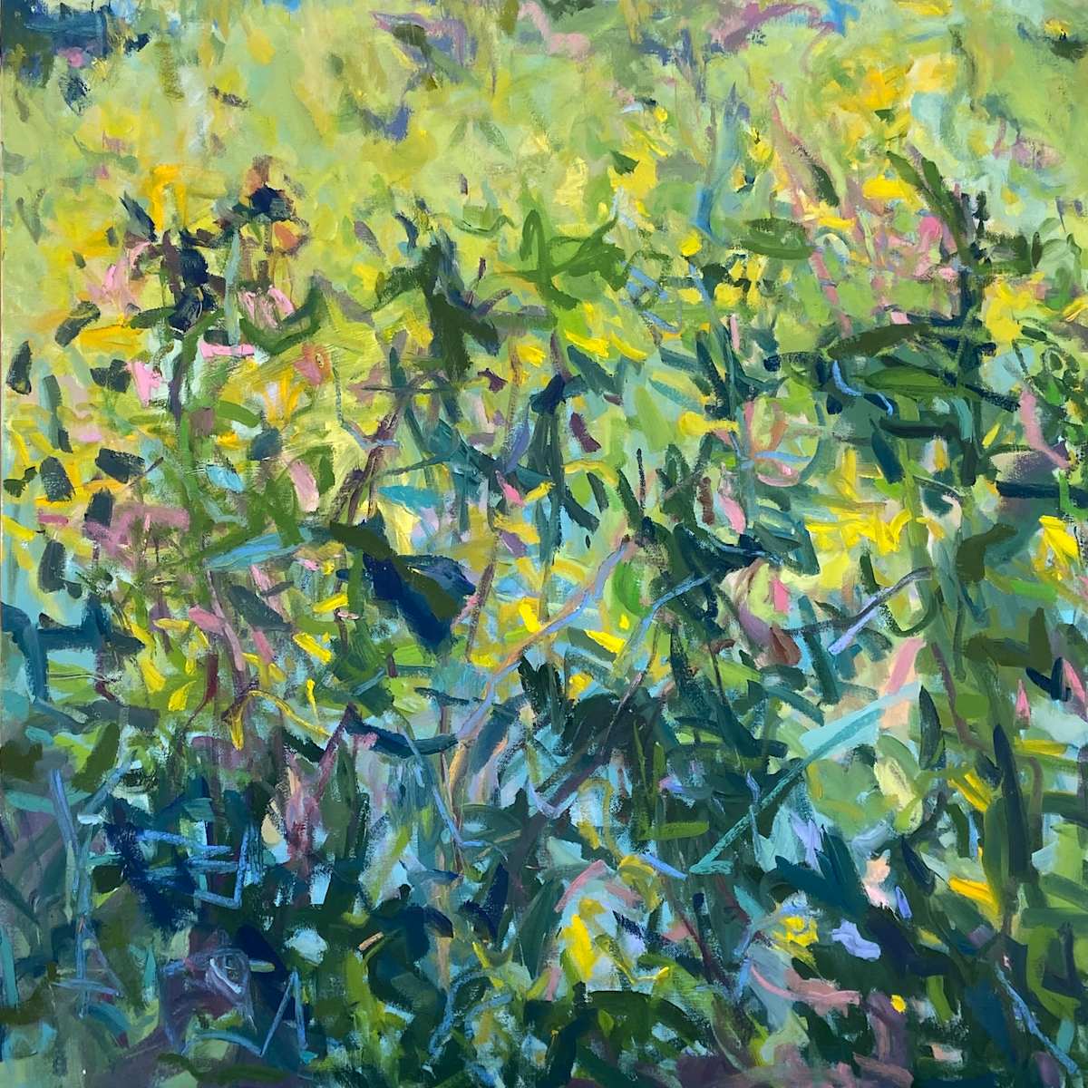 Wild Field, August by priscilla whitlock, Image 1.