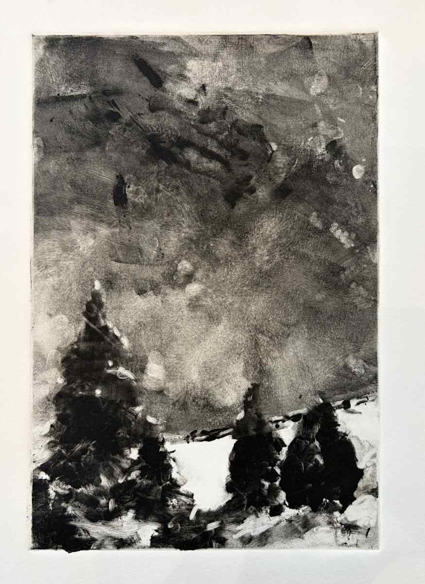 Trees, Snow by priscilla whitlock, Image 3.