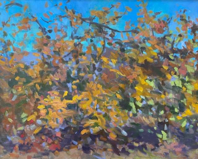 Apple Trees, Fall by priscilla whitlock 