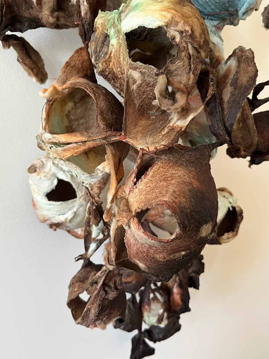 specter by Heather Baumbach, Image 1.
