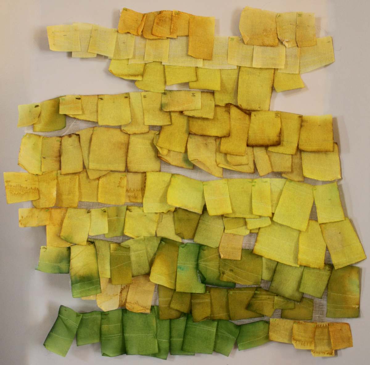 Ginko by Heather Baumbach, Image 1.