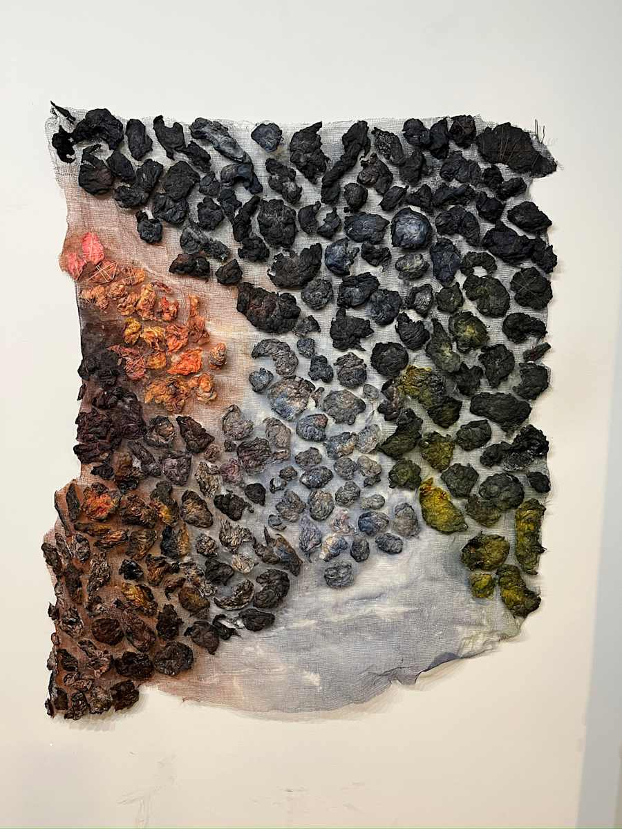 detritius by Heather Baumbach, Image 1.