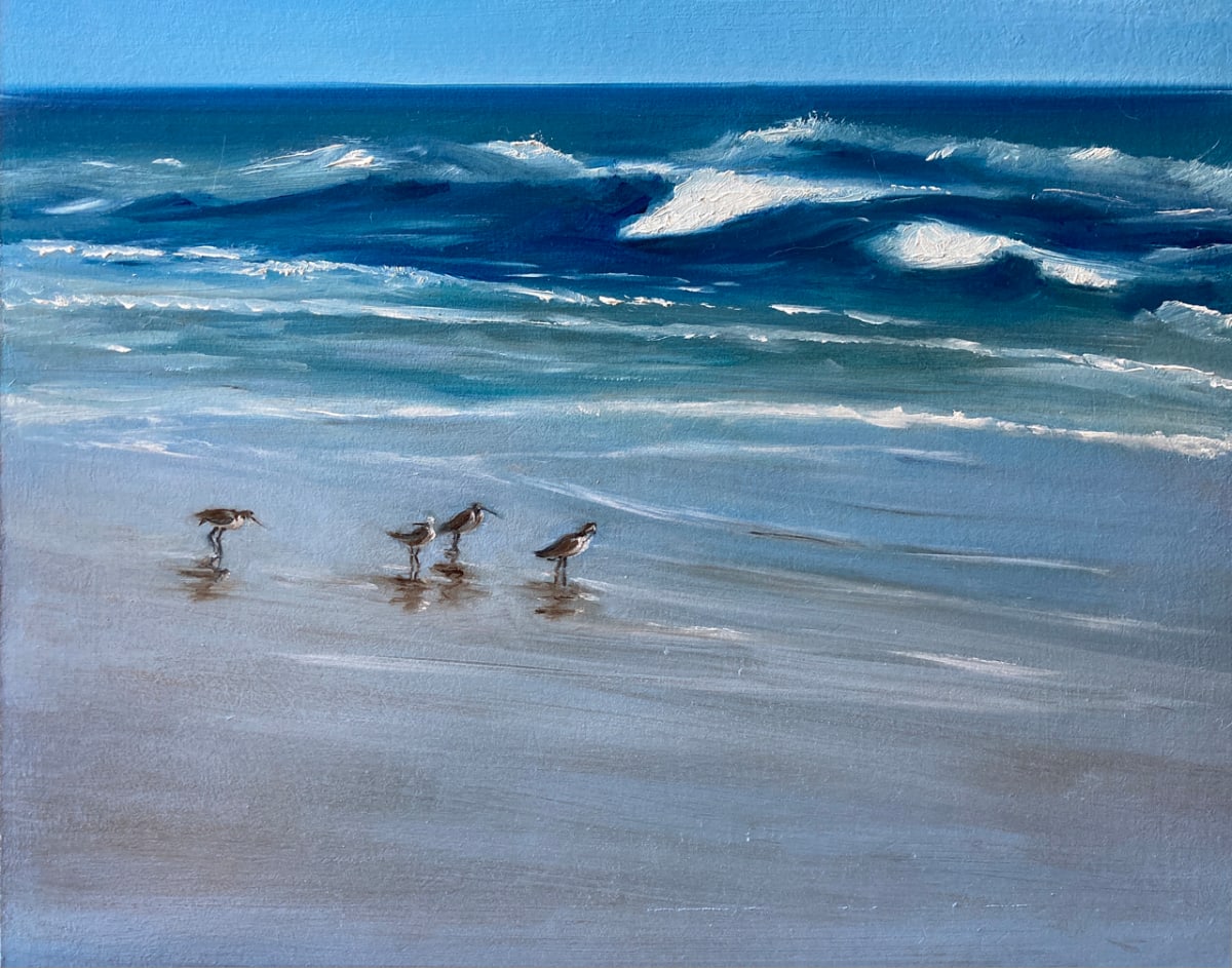Birds at Arnold  Image: Little surf birds in the wet sand looking for treats.